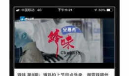 蓝莓视频下载,轻松获取海量精彩内容